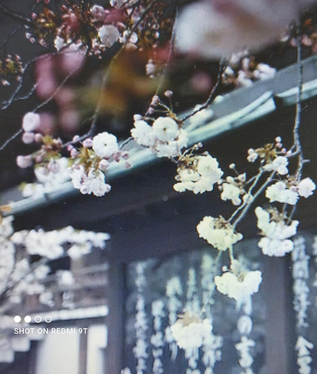 Skintao Signature 1h30