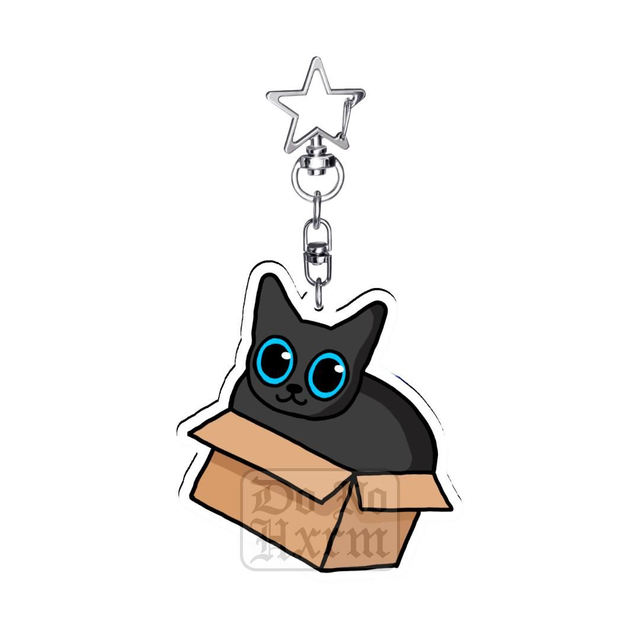 Cat In A Box Acrylic Keyring