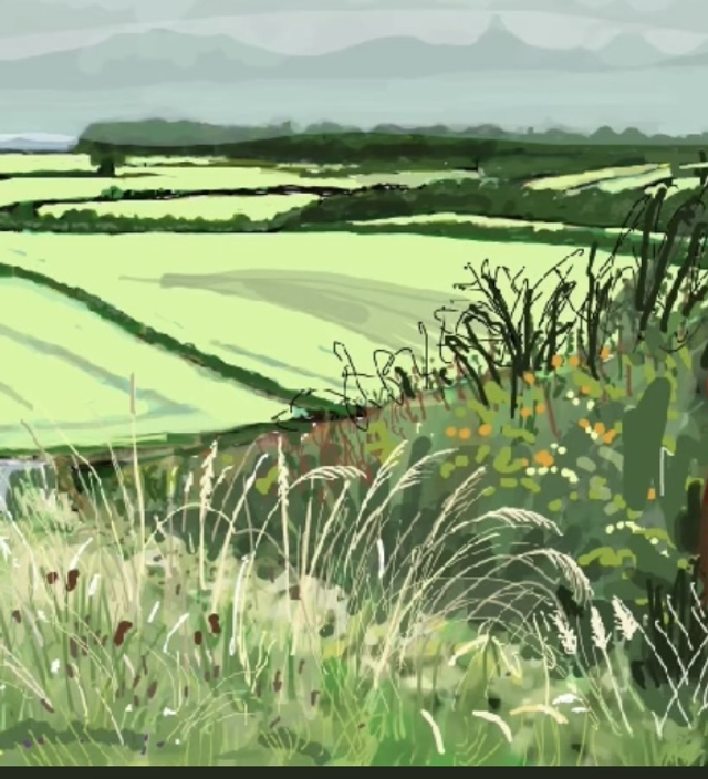 Mindfulness animation with music near Holme on the Wolds. A little relaxing diversion for you.