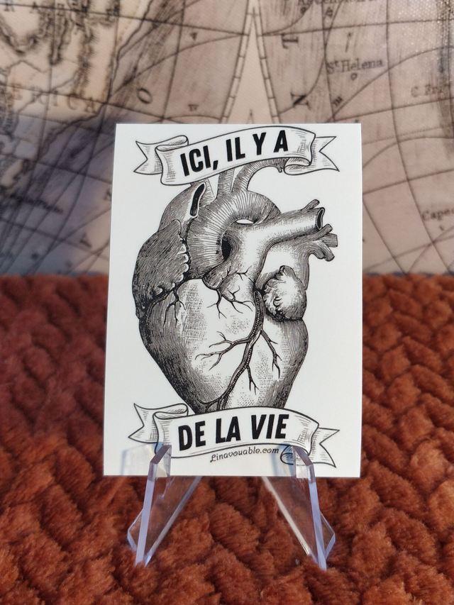 STICKER "ICI IL Y A DE LA VIE " Rectangulaire