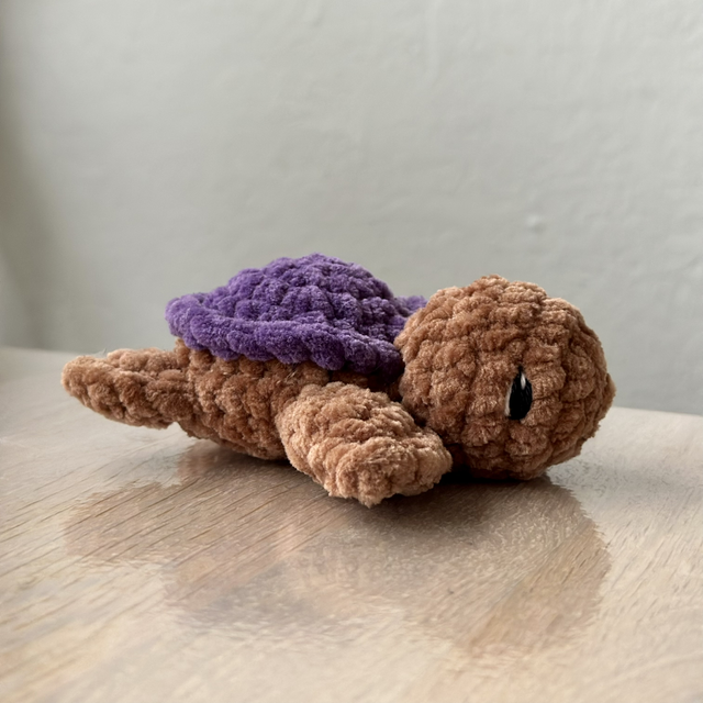 Mini tortue 
