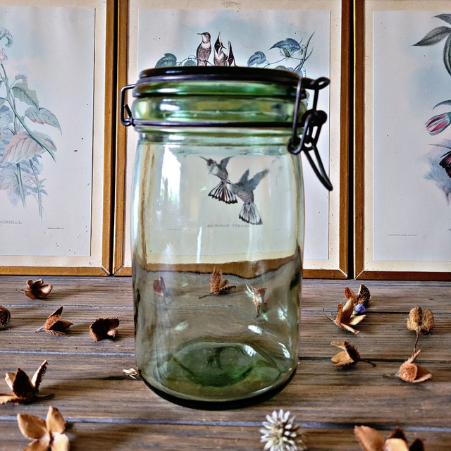 X Bocal en verre vert Solidex vintage pour déco ou cuisine (vrac)