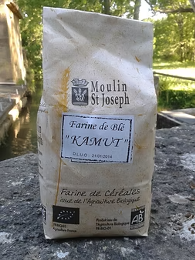 Farine de Khorasan bio