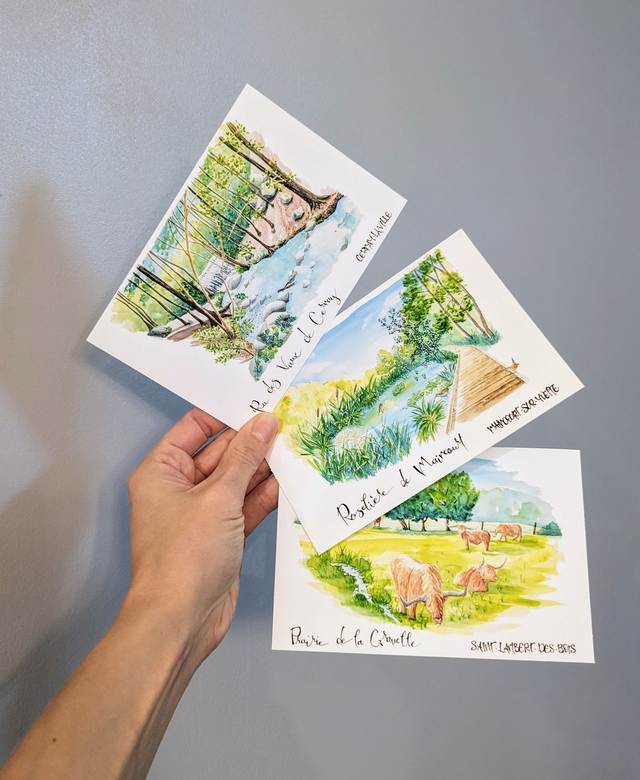 Carte postale nature Vallée de Chevreuse