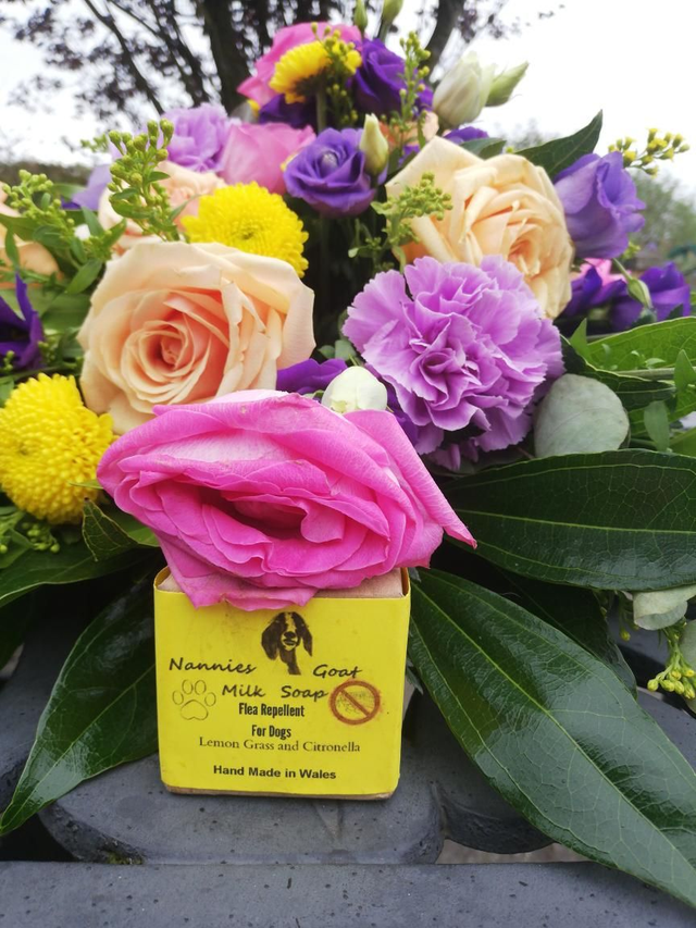 Flea Repellent Dog Soap 55g