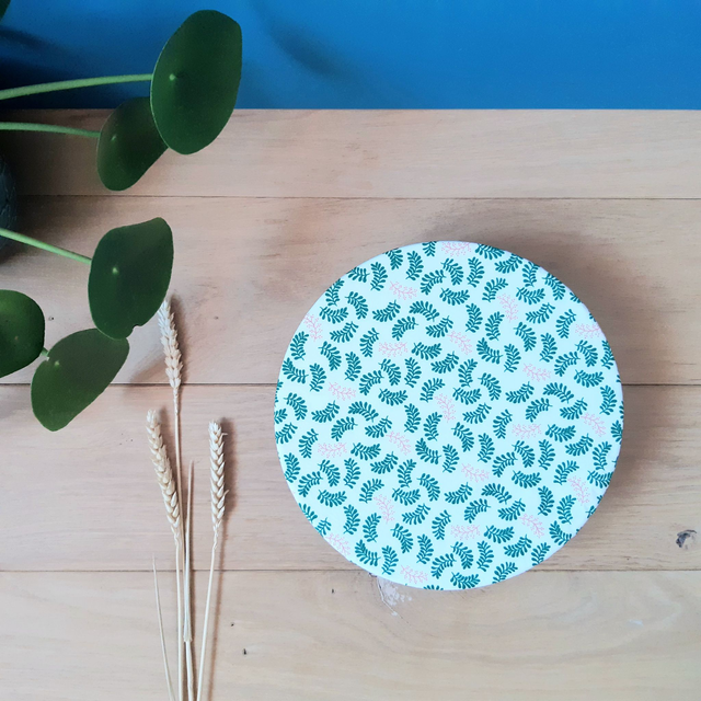 Charlotte à plats / Jardin japonais