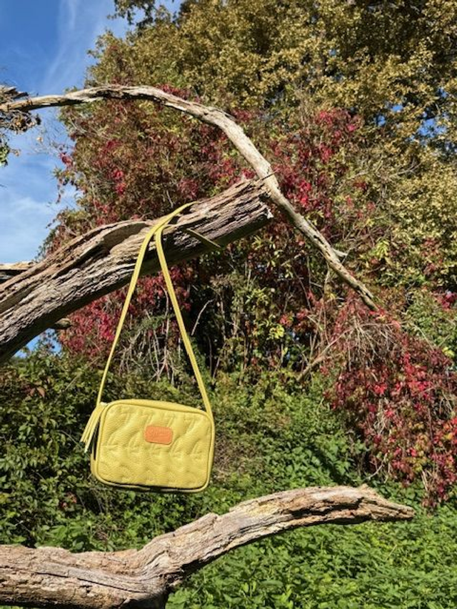 Petit matelassé "hirondelles"