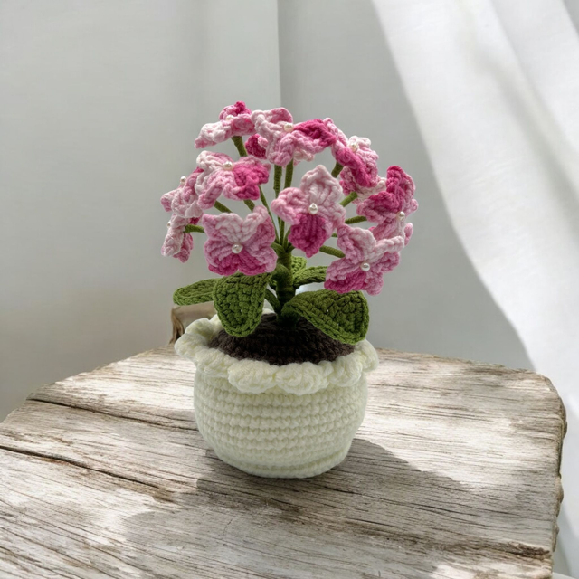 Hortensia - pot de 16cm
