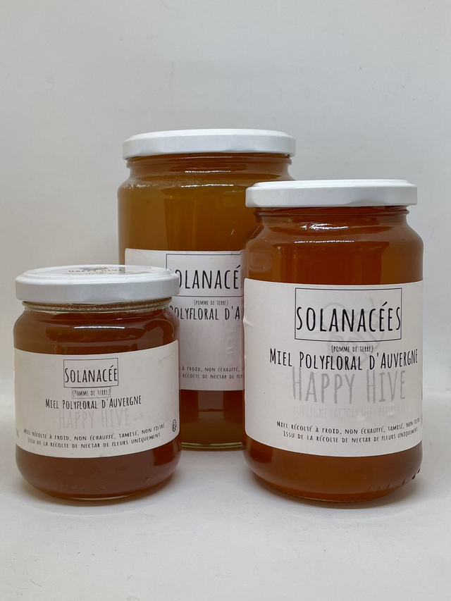 Miel de Solanacée d’Auvergne 