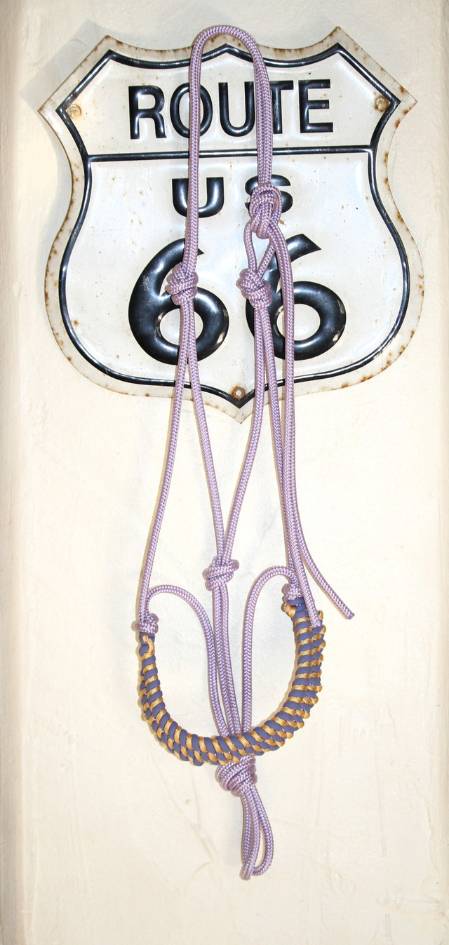 Licol éthologique Lavande/tournesol 