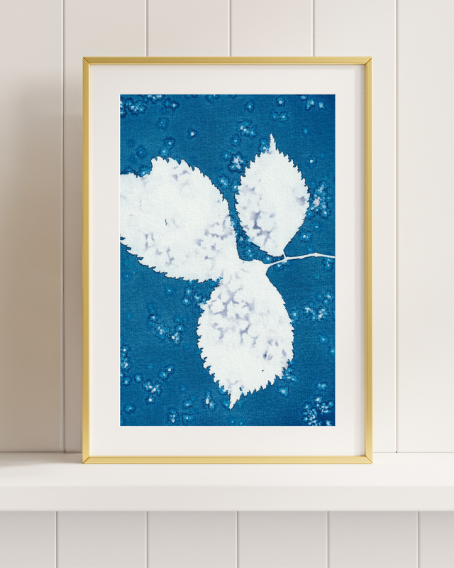 Premières Neiges (Orme)