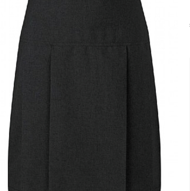 Wardle Skirt junior Plain