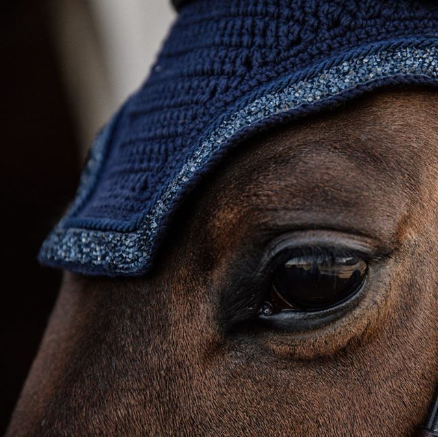 Kentucky Horsewear Glitter & Stone Fly Veil