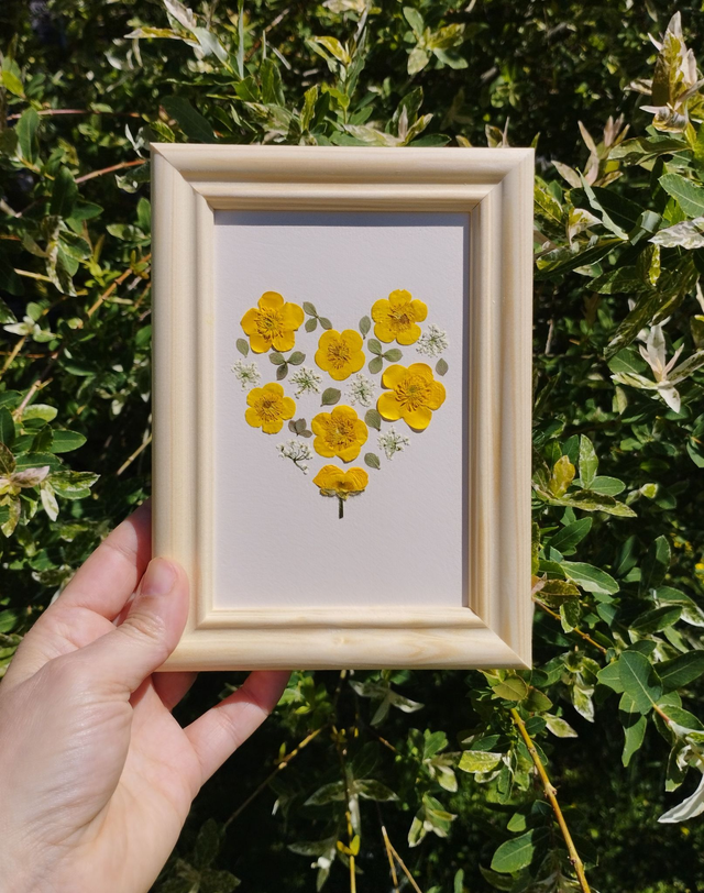 Coeur de Bouton d'or