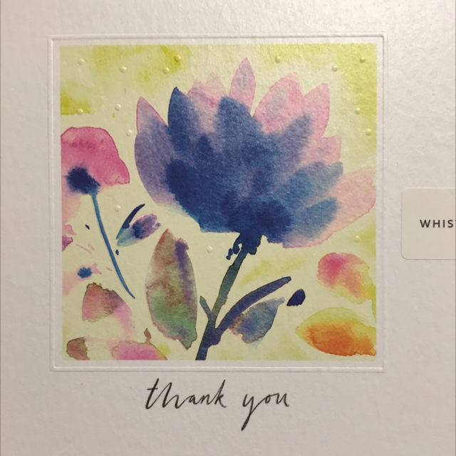 Thank You (Watercolour effect) WF