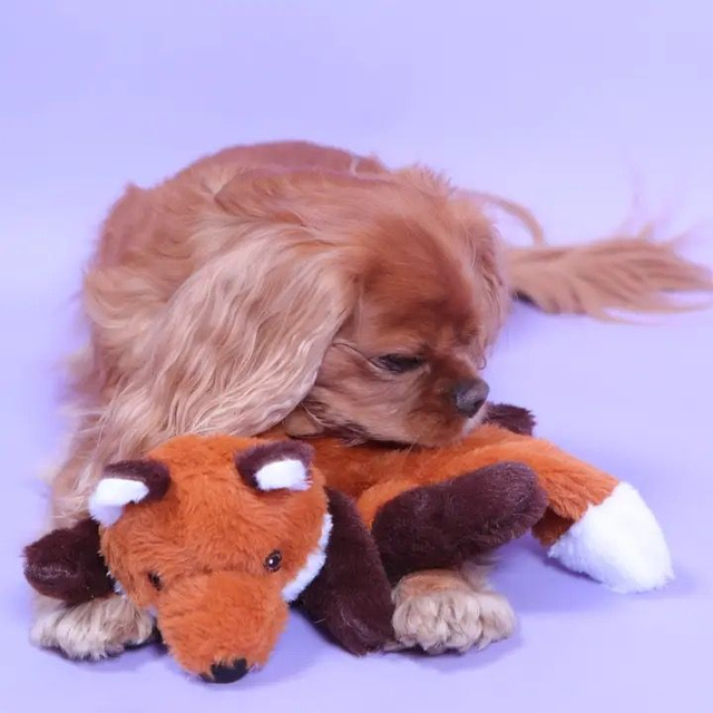 Crinkle Fox Toy