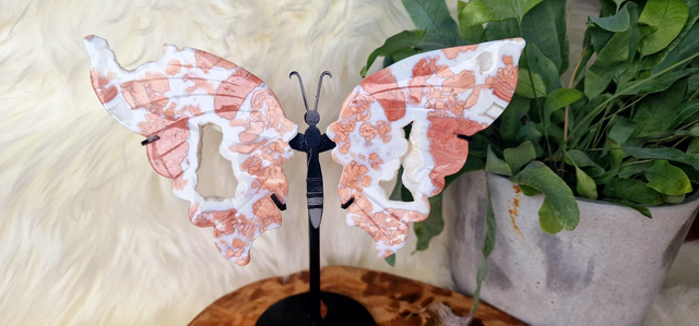Pink Candy Floss Agate Butterfly Wings with druzy on stand 
