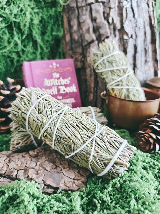 FUMIGATION - BÂTON DE ROMARIN 