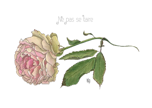 Carte postale botanique - rose "Ne pas se taire"