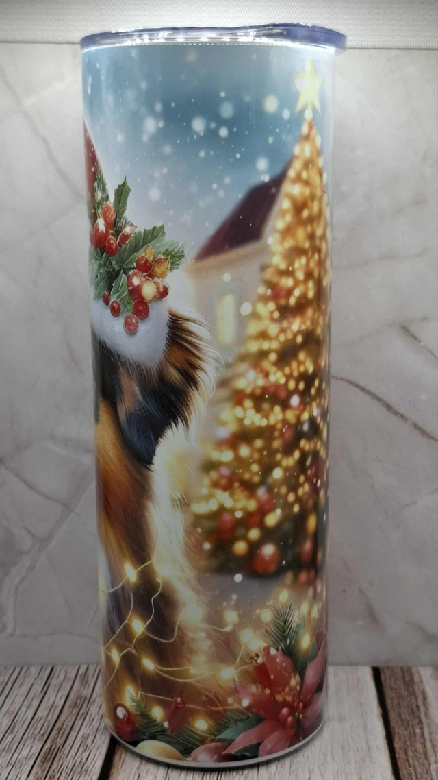 Gourde Canette berger australien