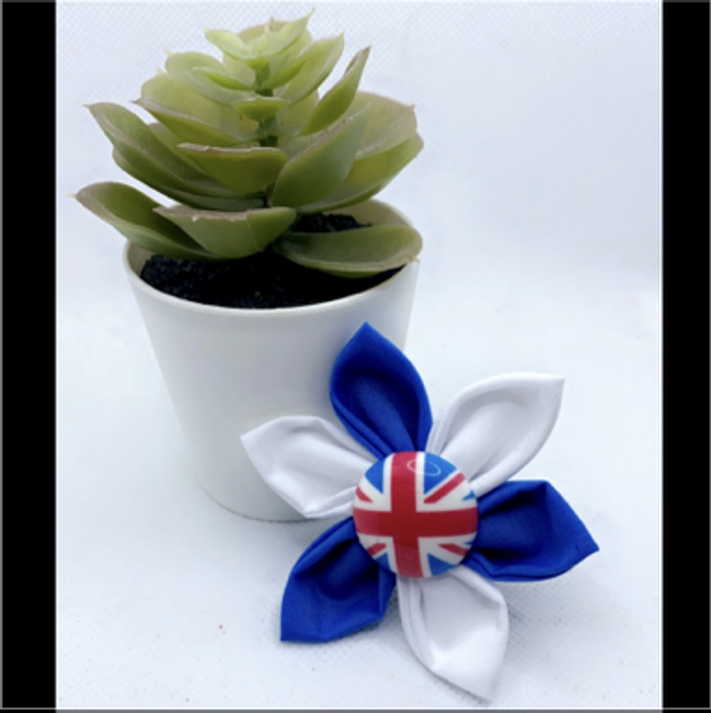 Union Jack flower 