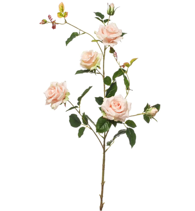 Rose garden spray cream real touch