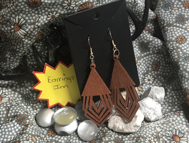 Brown Wood Dangling Earrings-SWDE71