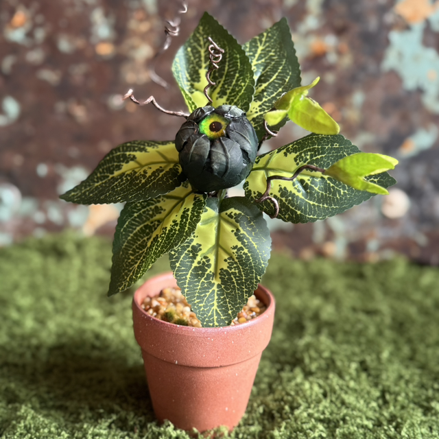 58.🌱 Specimen: The Weeping Weed