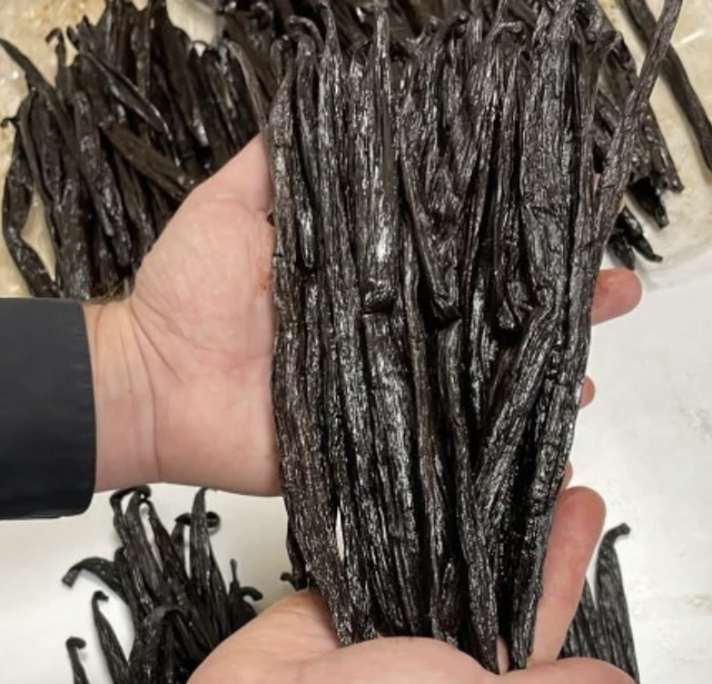 GOUSSES DE VANILLE POMPONA BLACK GOLD DE MADAGASCAR  XXXL {+22cm}