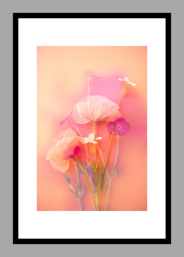 Collection du printemps * 4