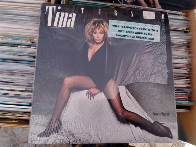 Tina Turner - Private Dancer