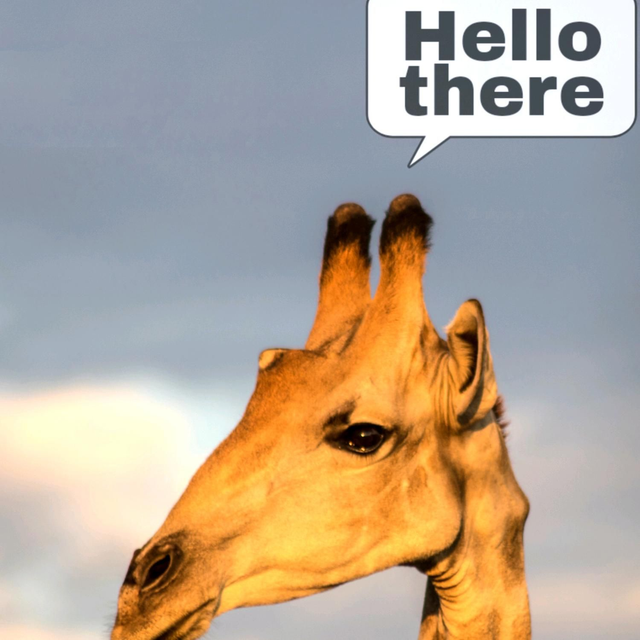 'Hello There' Giraffe Blank Greetings Card