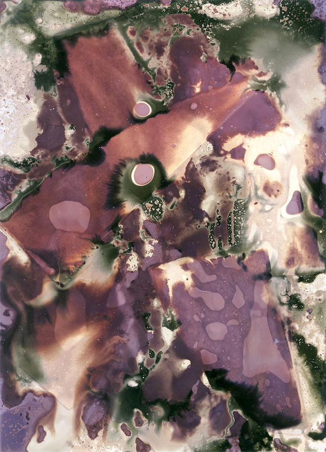 Abstract Chemigram with Oil