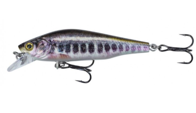 QUARRY 50FS Color VAI