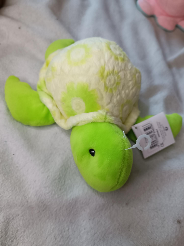 Peluche tortue