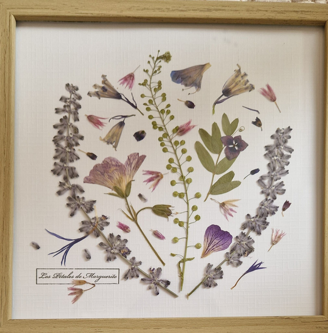Cadre fleurs séchées