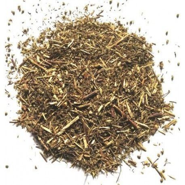 Artemisa "Arthemisia vulgaris"