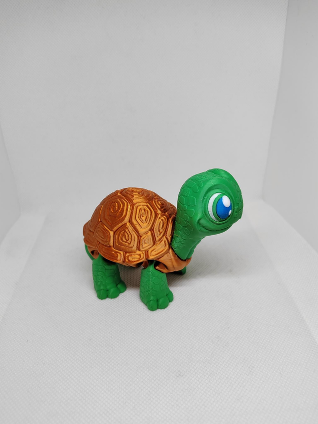 Tortue articulée