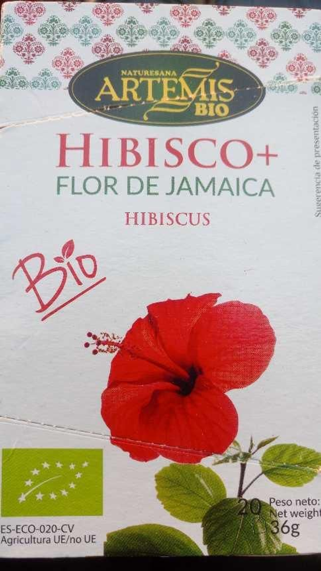 Hibisco, flor de Jamaica