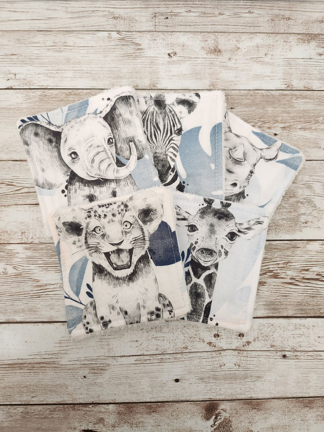 Lot de 5 lingettes animaux