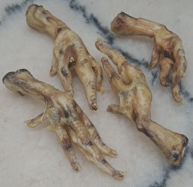 27 - Patte de Poulet Lot de 10