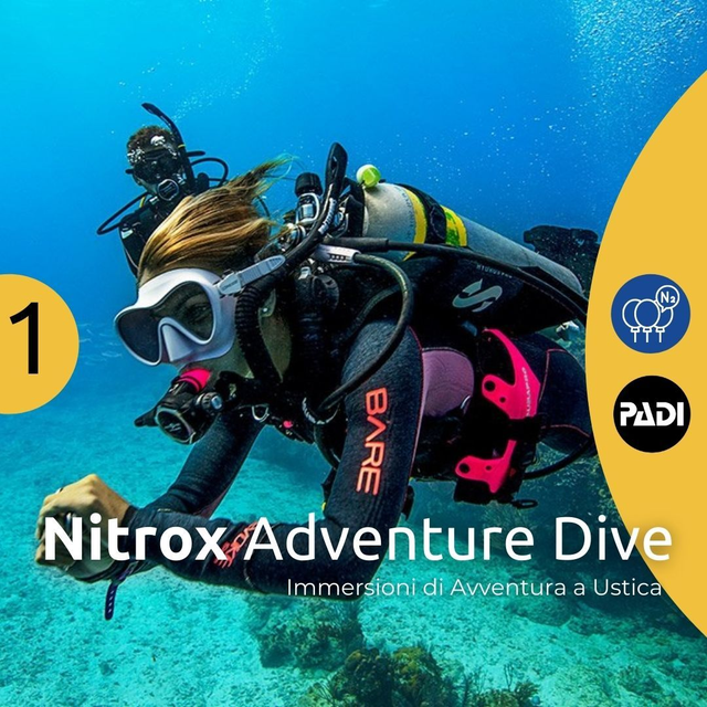 Nitrox Adventure Dive
