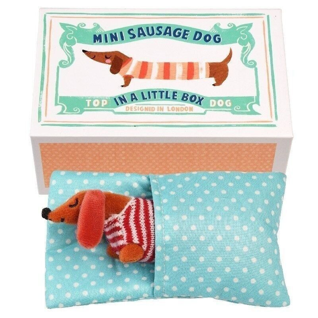 Mini Sausage Dog in A Little Box