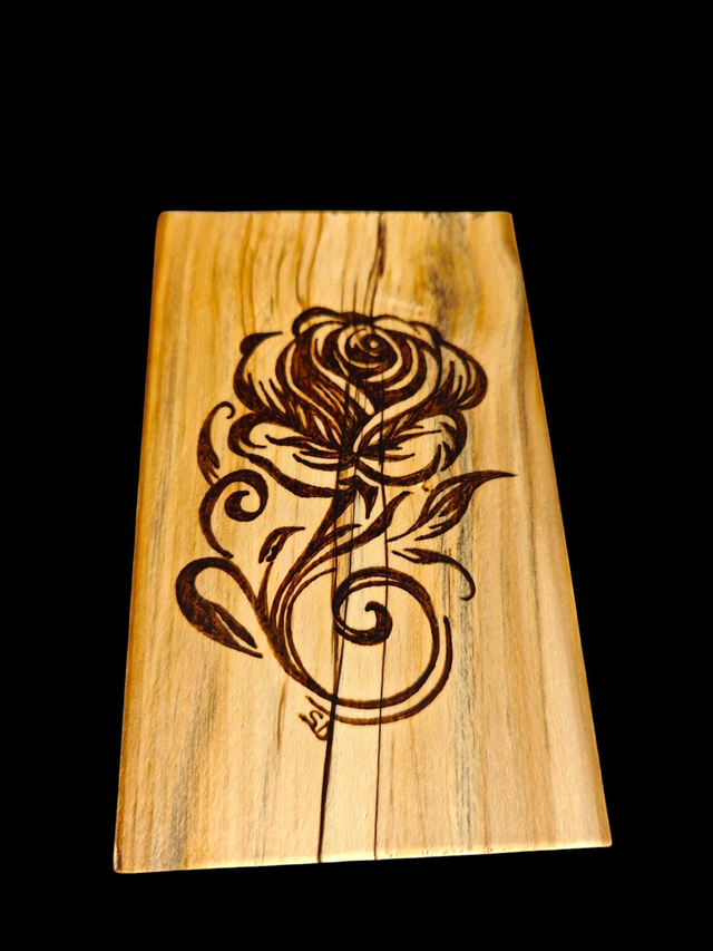 Rose mélodie 