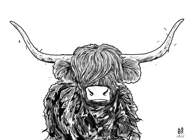 X4 Prints - Cameron the Highland Coo Black &amp; White 8"x10" (£7.50 per unit)