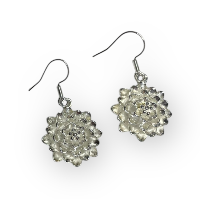 Hopeapuro kaunokki-korvakorut