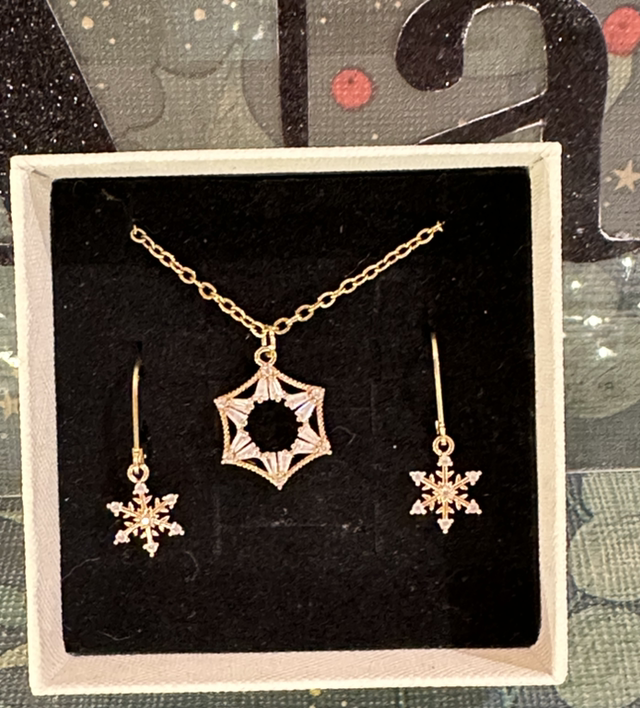 EARRINGS & NECKLACE SET1