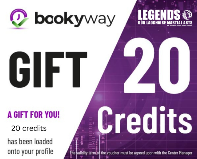 20 Credit Christmas Offer