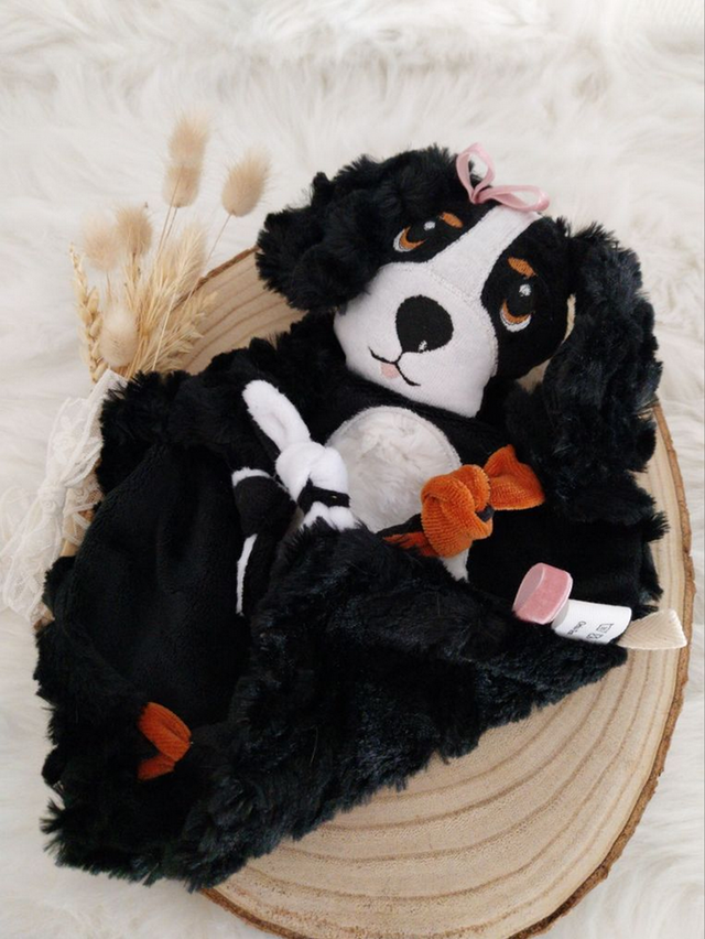 Cavalier King-Charles