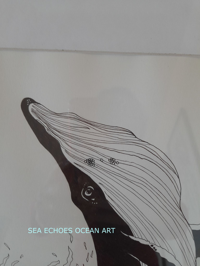 Breaching = Joy! (Original)